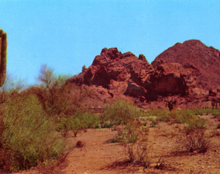 Phoenix