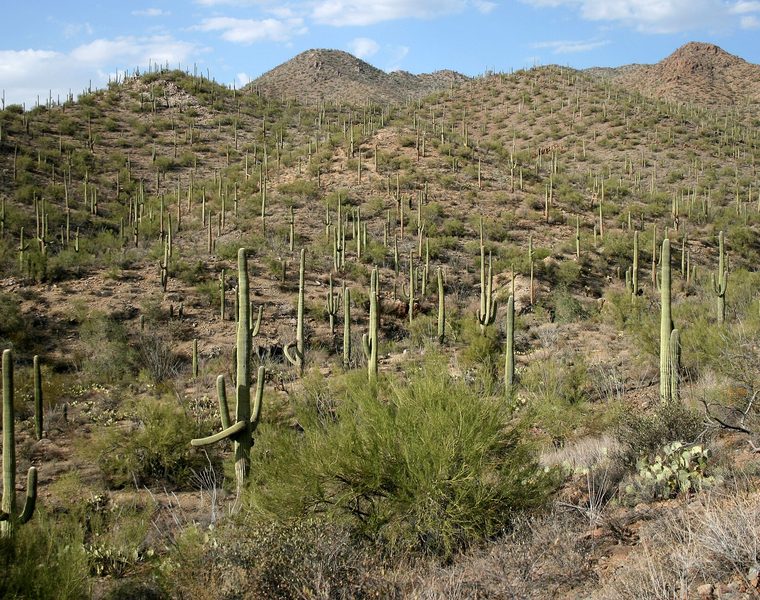 Tucson
